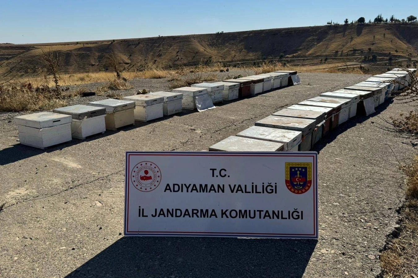 Adıyaman'da arı kovanlarını çalan şahıs yakalandı!