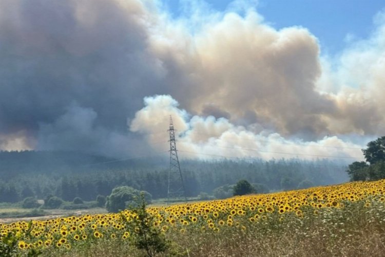 Bursa Nilüfer'deki orman yangını üniversiteye sıçradı