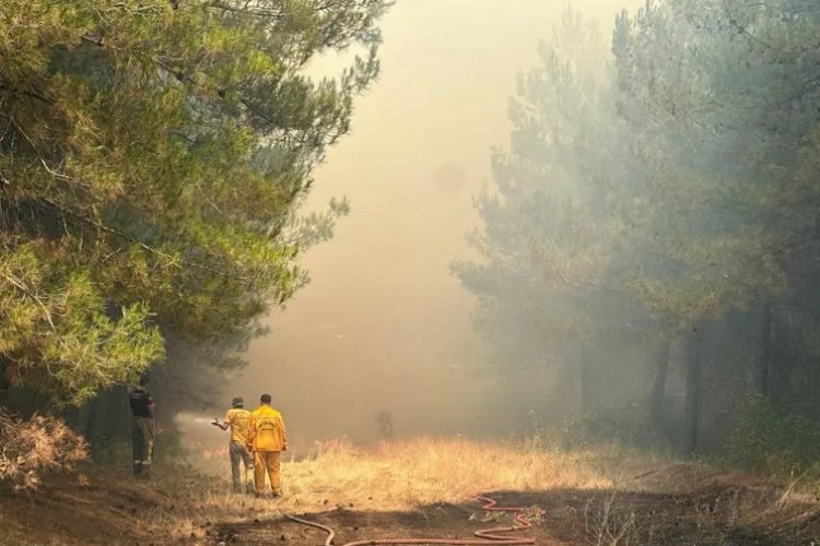 Bursa’daki orman yangını hakkında dikkat çeken iddialar
