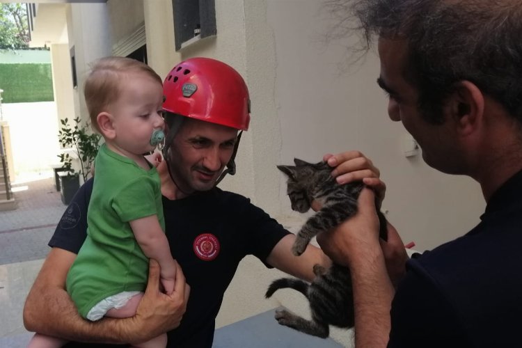En çok kediler kurtarıldı... İstanbul'da 5 ayda 6 bin hayvan kurtarıldı